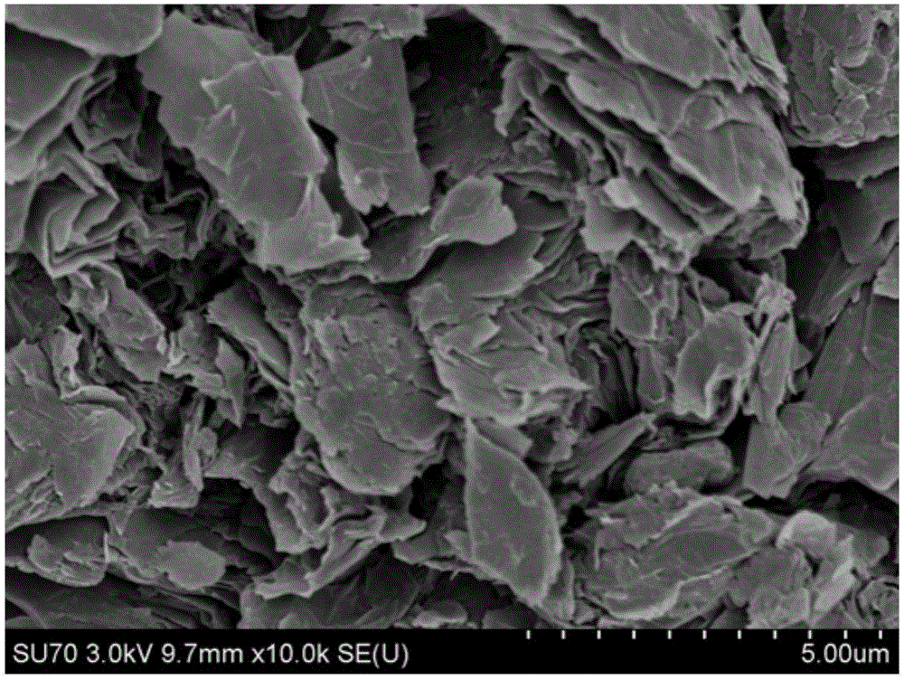 Preparation method and application of efficient photoelectrocatalytic water-decomposition oxygen-production electrode