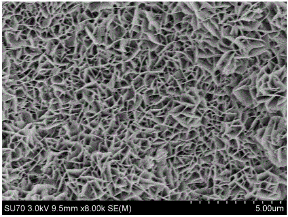 Preparation method and application of efficient photoelectrocatalytic water-decomposition oxygen-production electrode