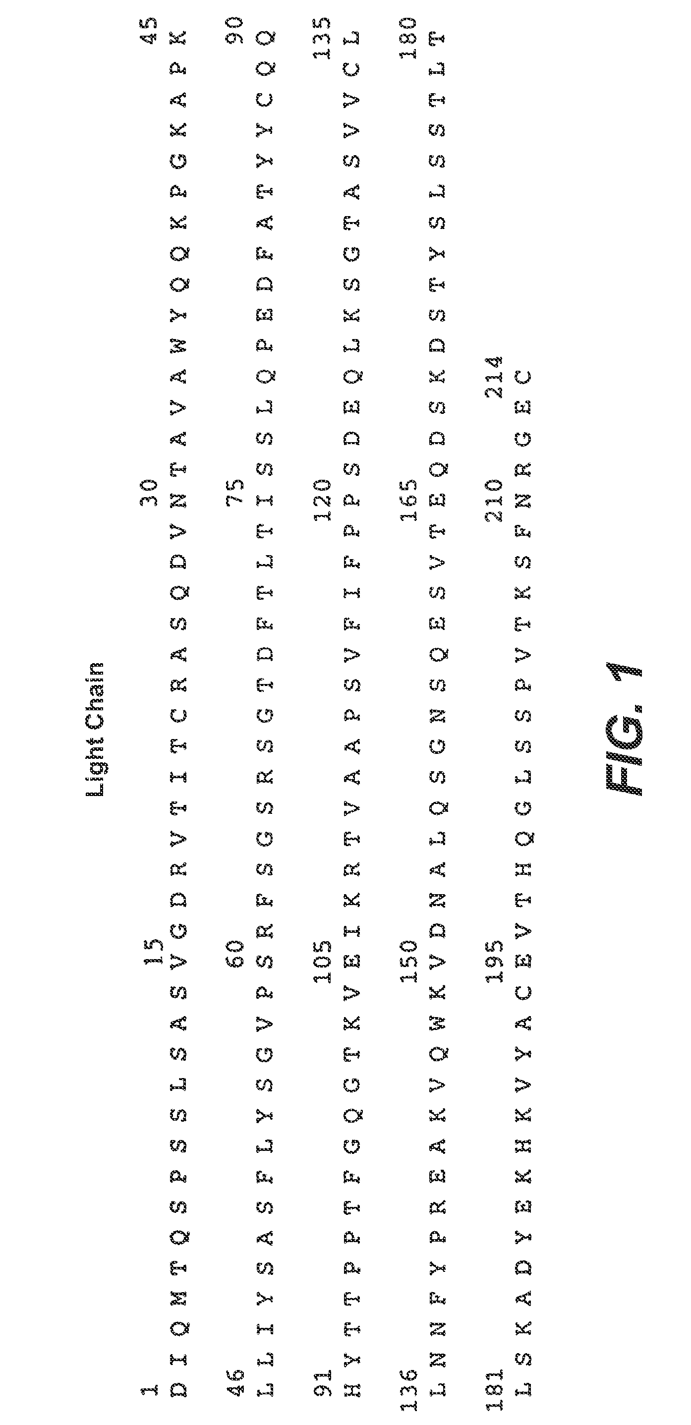 Therapeutic Anti-her2 antibody fusion polypeptides