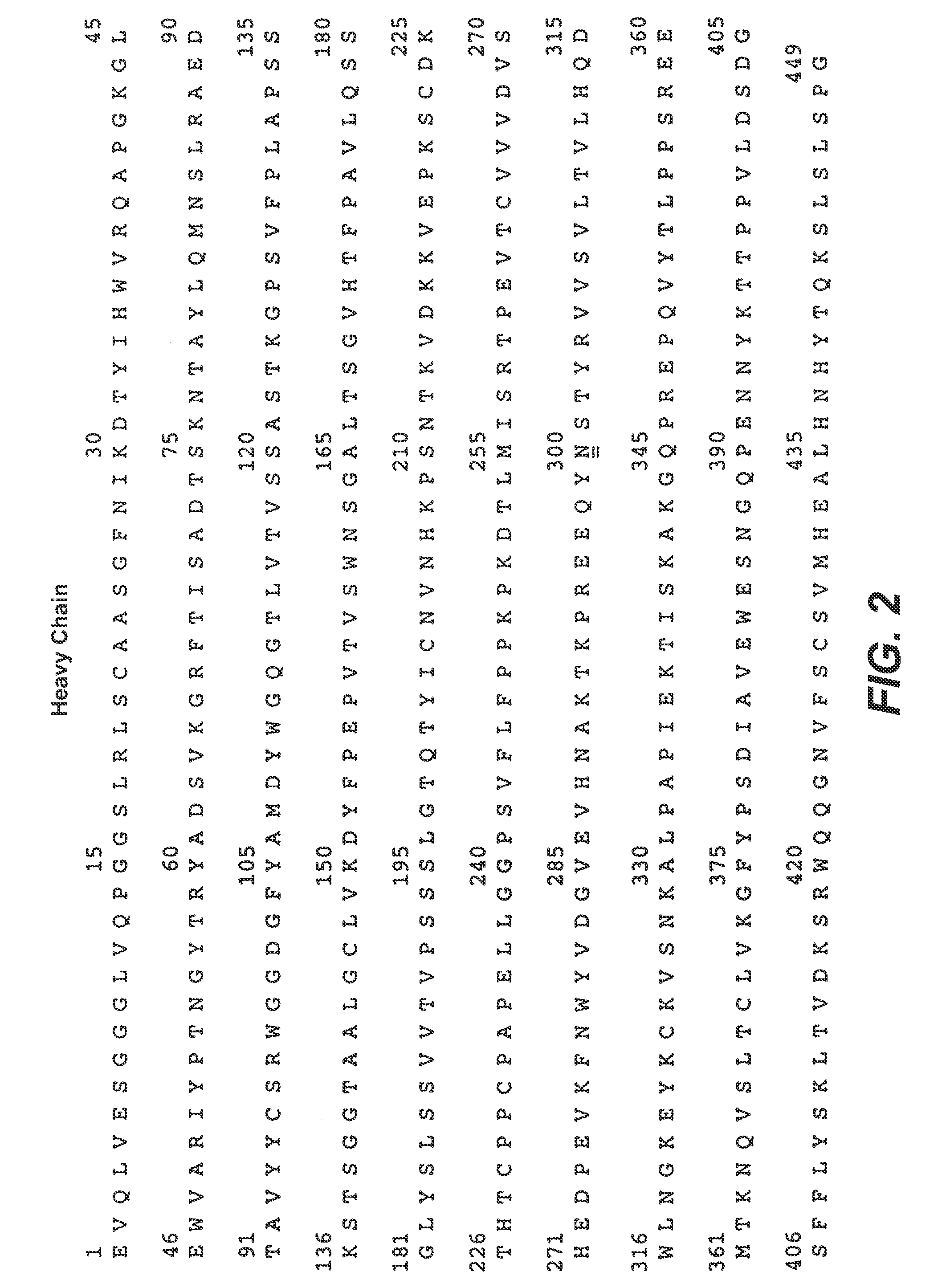 Therapeutic Anti-her2 antibody fusion polypeptides