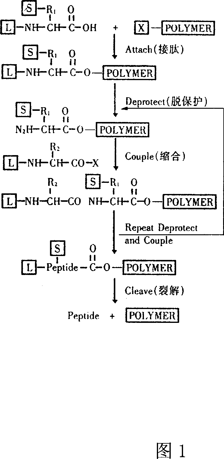 Four conjunction diagnostic kit of antimyocardial antibody