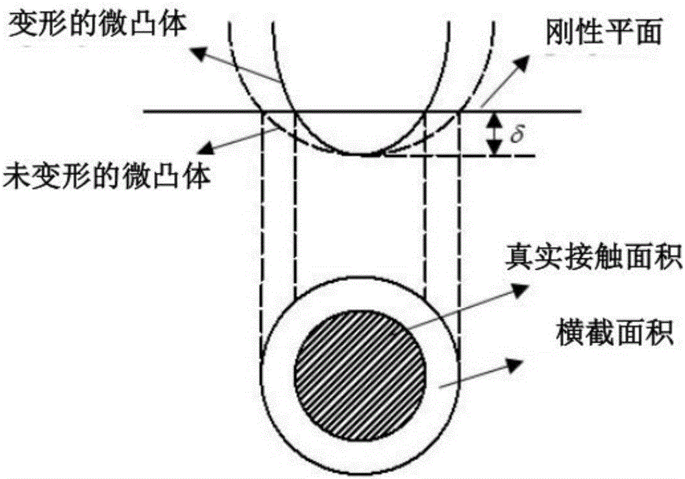 Rough surface-based three-dimensional contact stiffness calculation method for spur gear