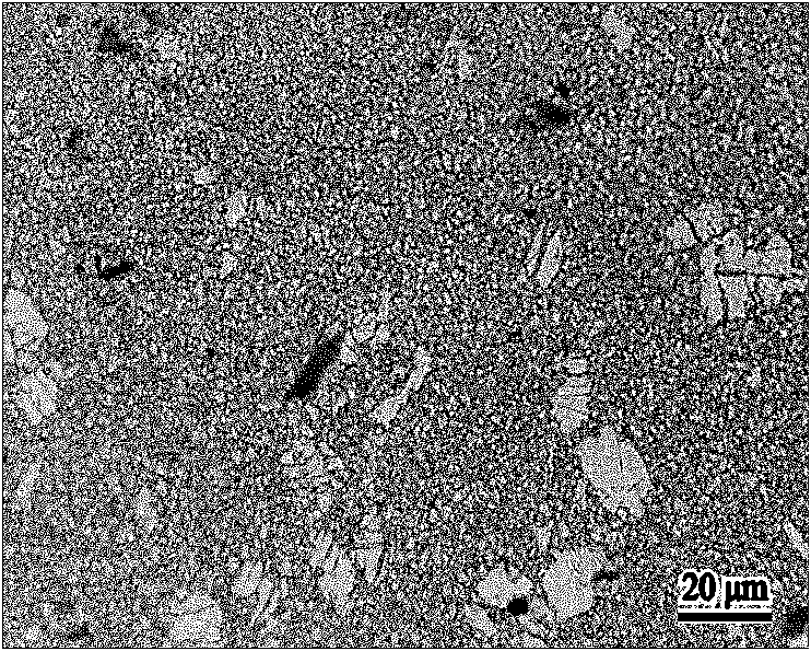 Processing method for refining crystal grains and improving texture of double surface layers of magnesium alloy plate strip