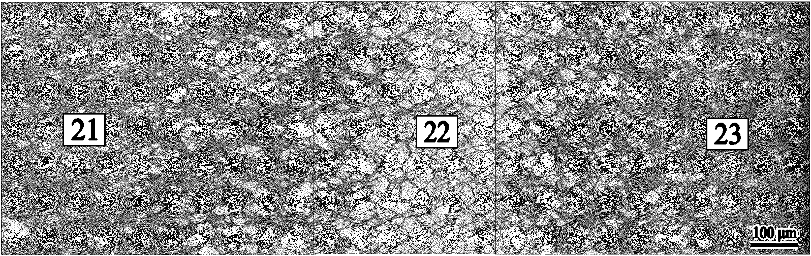 Processing method for refining crystal grains and improving texture of double surface layers of magnesium alloy plate strip