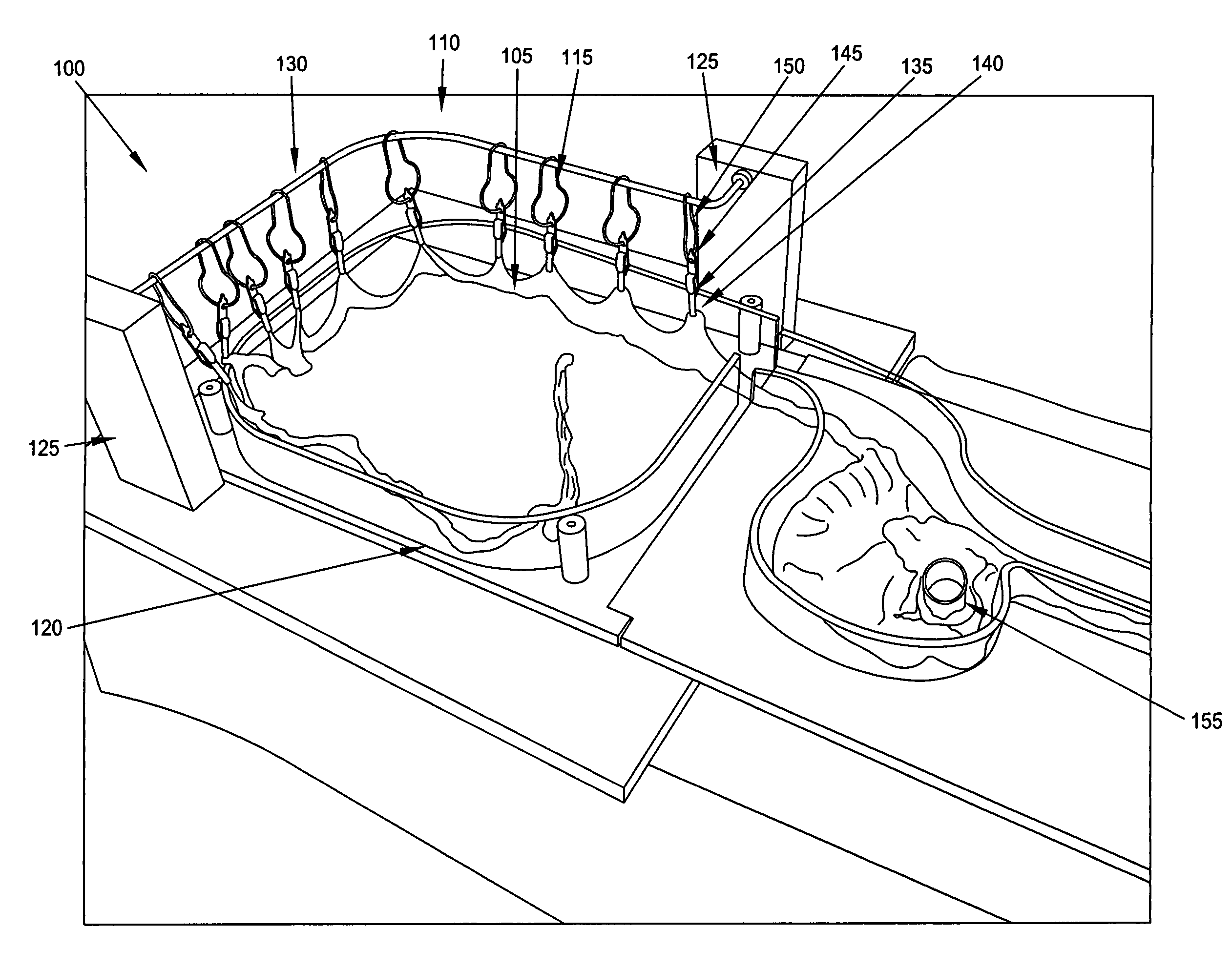 Anatomical model