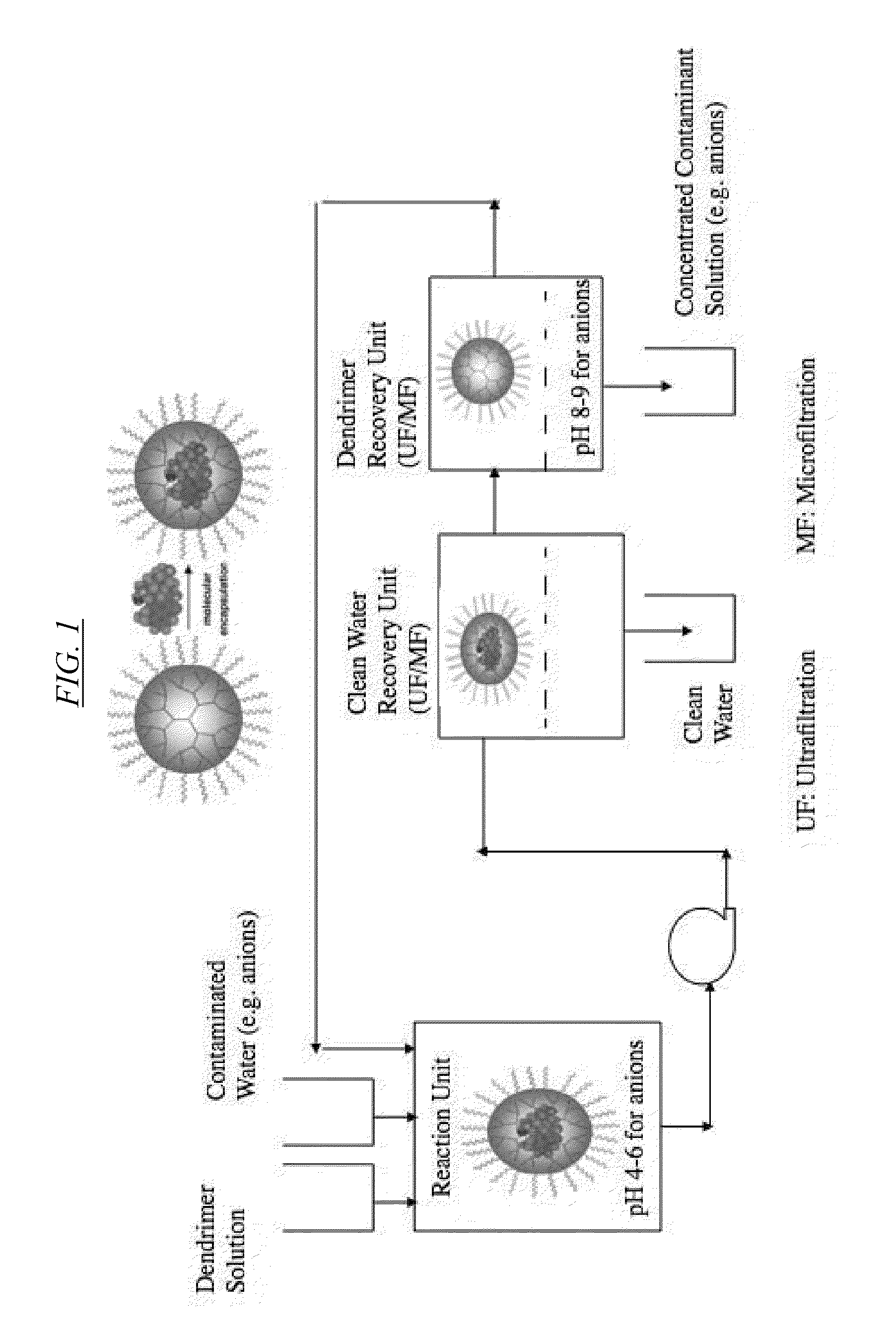 Extraction Of Anions From Solutions And Mixtures Using Hyperbranched Macromolecules