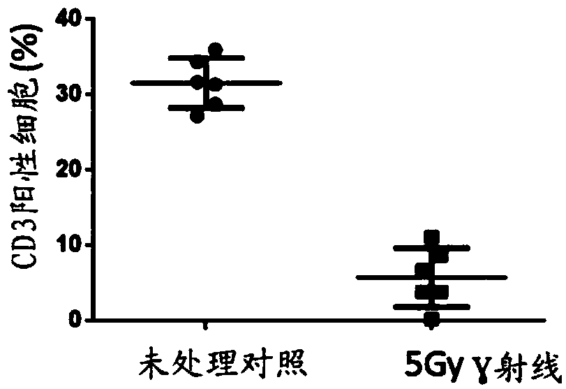 Joint use of immunologic effector cells and radiation in tumor treatment