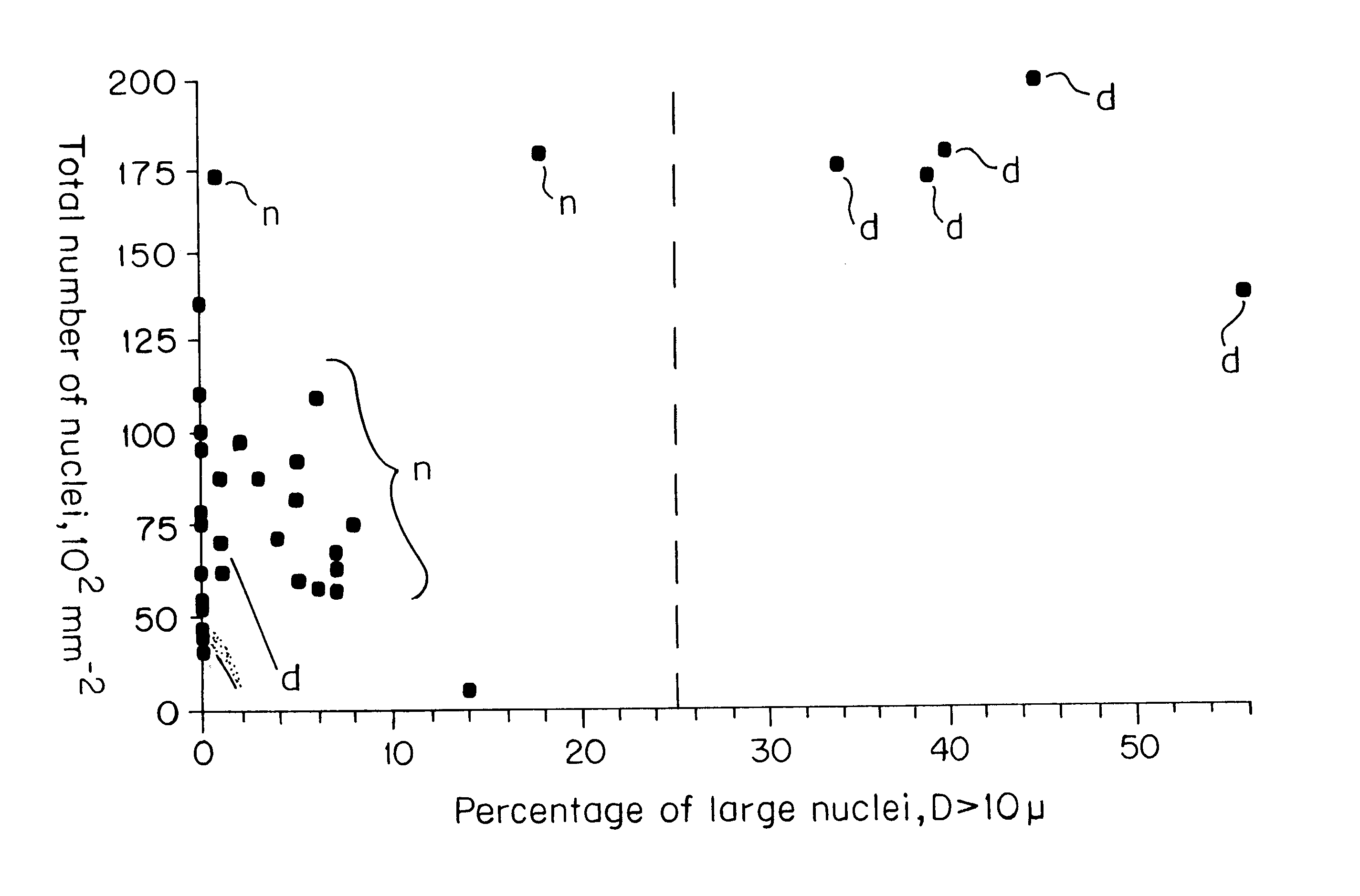 Method for measuring tissue morphology