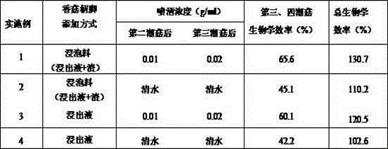 Pleurotus nebrodensis cultivation method