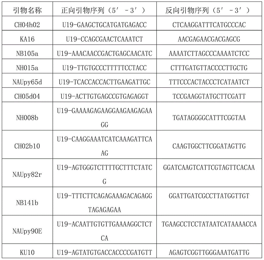 Method for generating SSR molecular identification numbers of fruit trees based on SSR genotypes