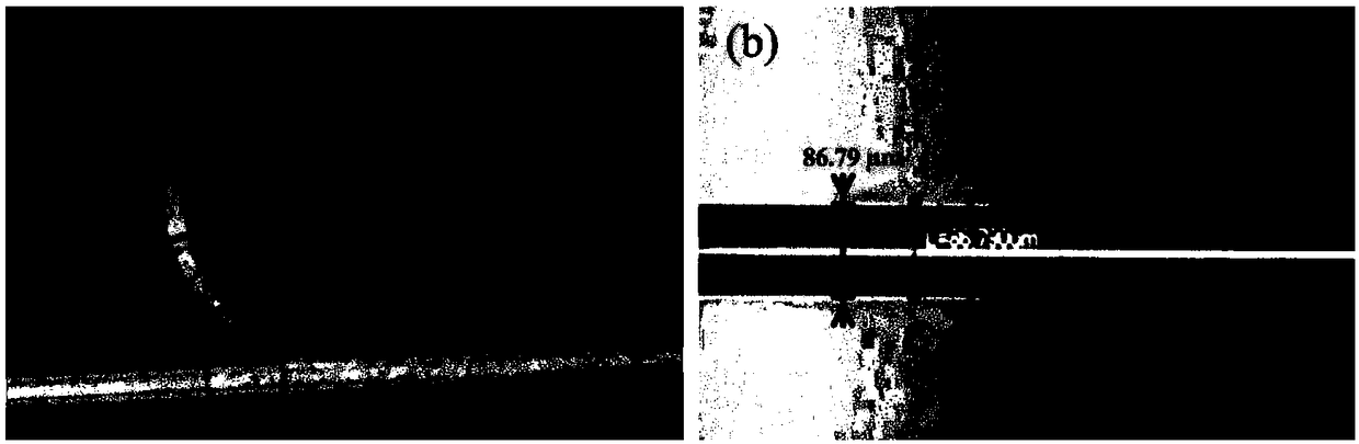 Lymphocyte bio-optical sensor based on photo-fluidic capillary micro-cavity and sensing method thereof