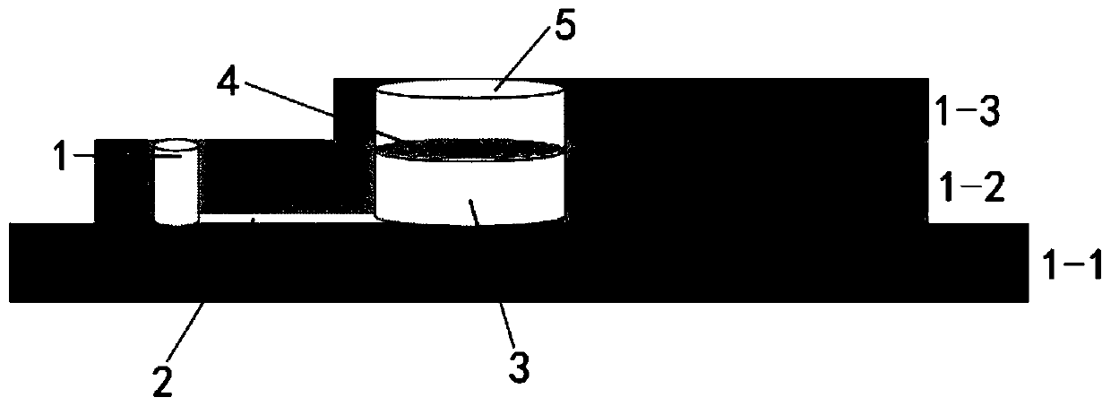 Sperm sorting device