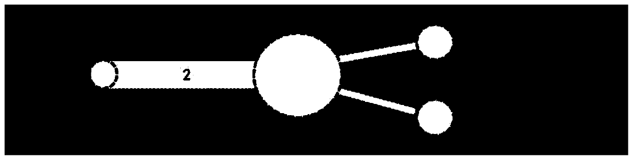 Sperm sorting device