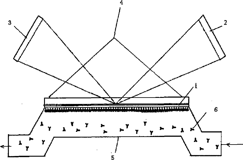 Supramolecular self-assembly biological chip, and preparation method and application thereof