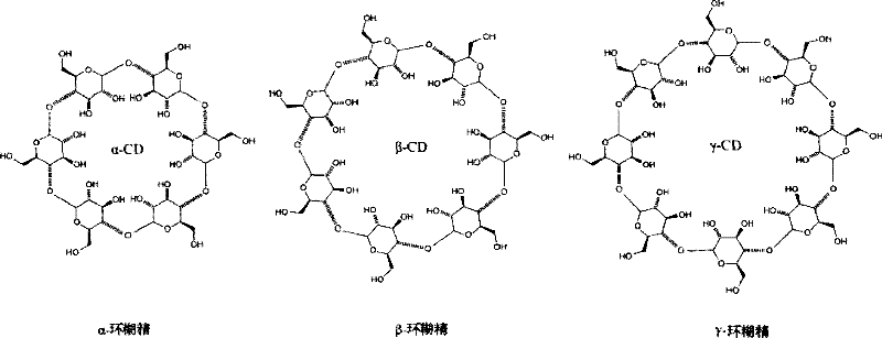 Supramolecular self-assembly biological chip, and preparation method and application thereof