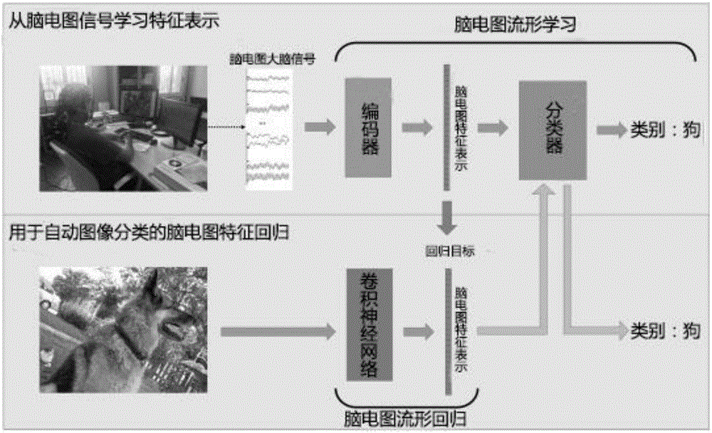 Deep learning vision classifying method based on electroencephalogram data