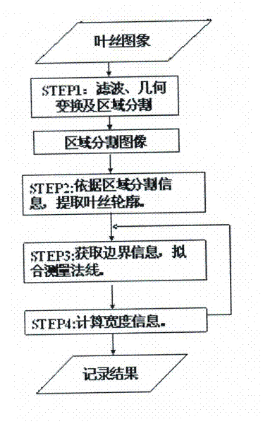 A Rapid Measuring System of Filament Width