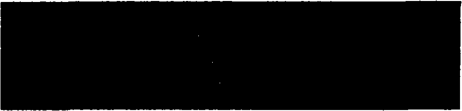 Method for identity recognition through extracting iris texture characteristic