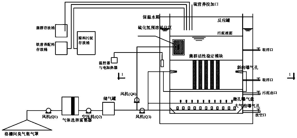 Hydrogen sulfide gas source collaborated sludge bioleaching reactor