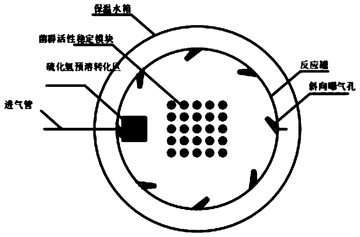 Hydrogen sulfide gas source collaborated sludge bioleaching reactor