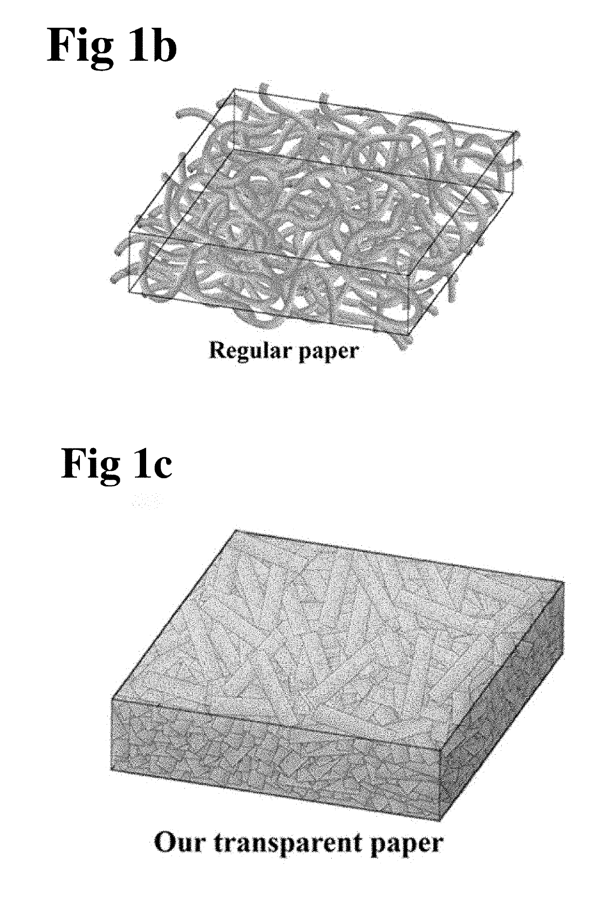 Scalable, highly transparent paper with microsized fiber