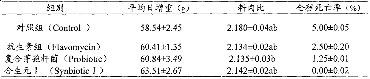 Compound synbiotics preparation and its application