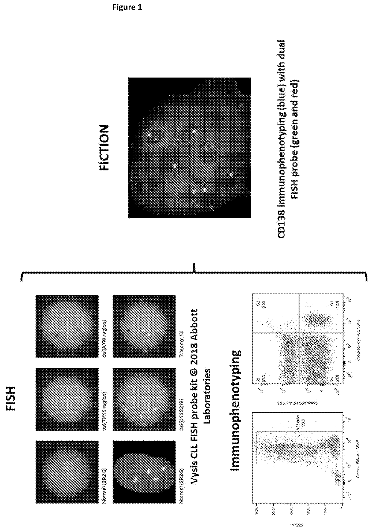 Improvements in or relating to cell analysis