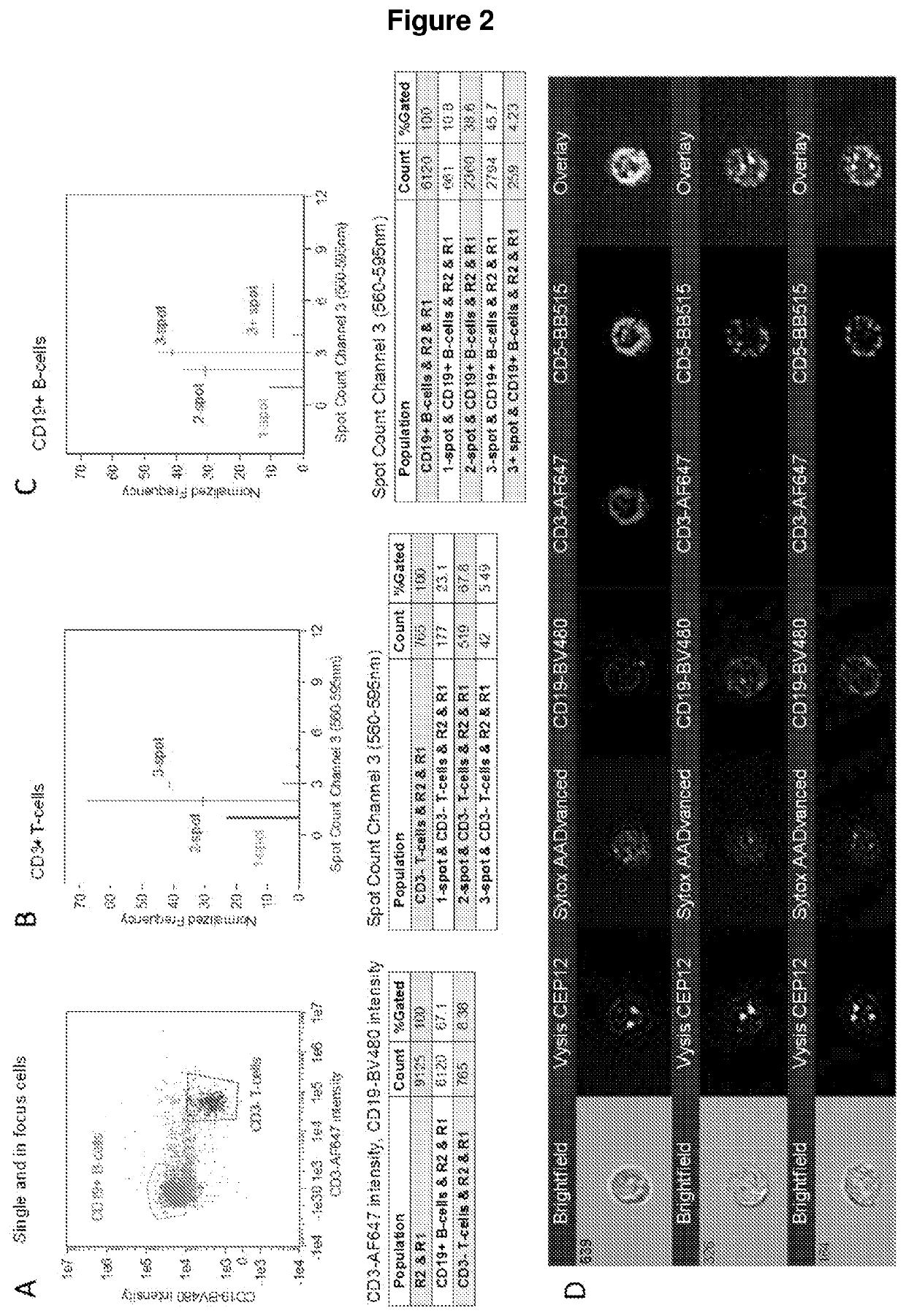 Improvements in or relating to cell analysis