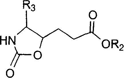 Precursor of key intermediate of AG 7088 class compound and its sythetic process