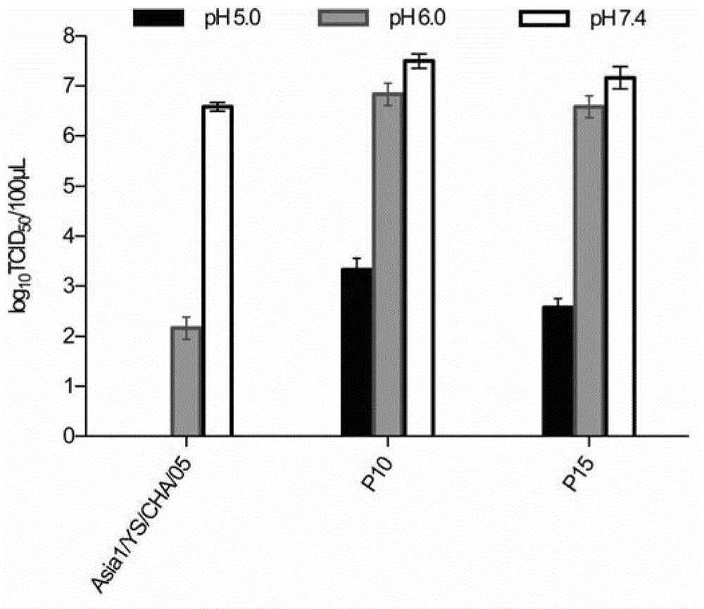 Asia 1 type foot and mouth disease virus acid resistant mutant strains, capsid protein carried by same and encoding gene thereof and application