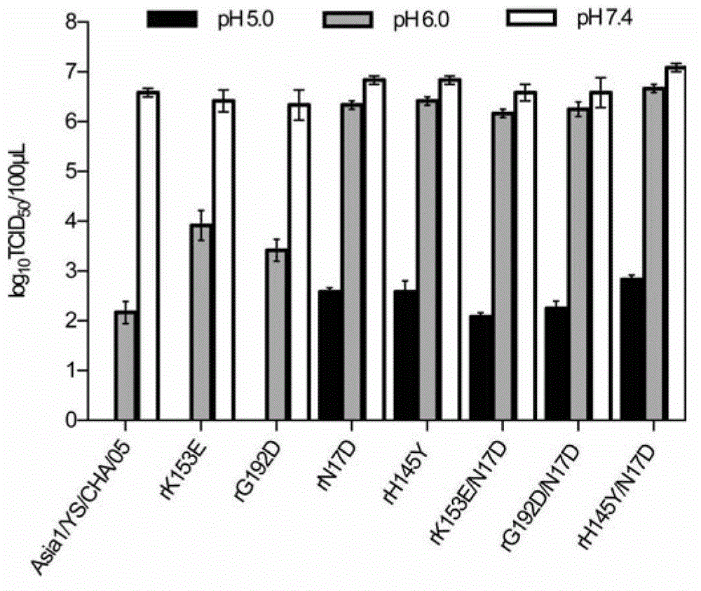 Asia 1 type foot and mouth disease virus acid resistant mutant strains, capsid protein carried by same and encoding gene thereof and application