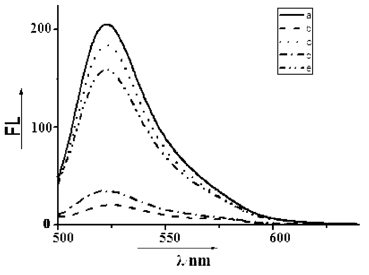 Fluorescence detection method for detecting cocaine by use of oligonucleotide and graphene oxide