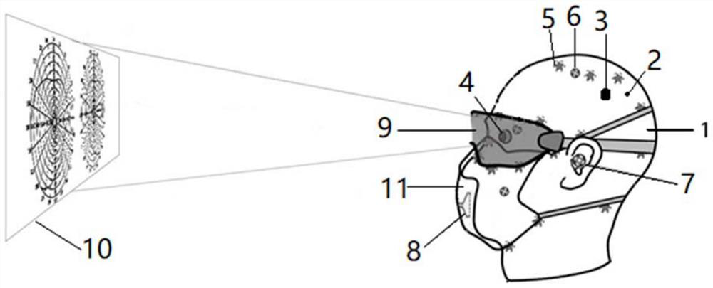 Bionic head model and system