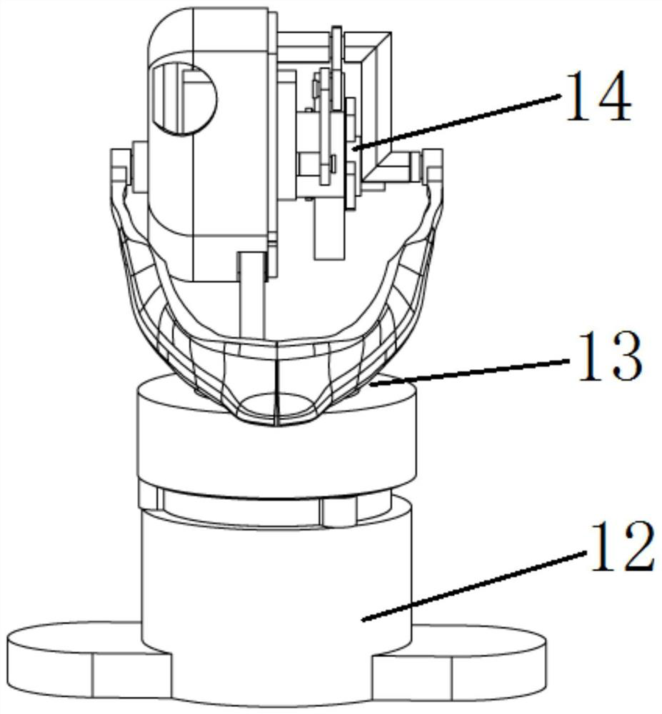 Bionic head model and system