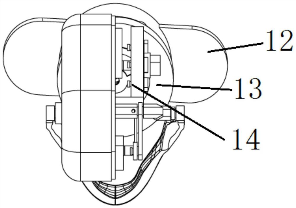 Bionic head model and system