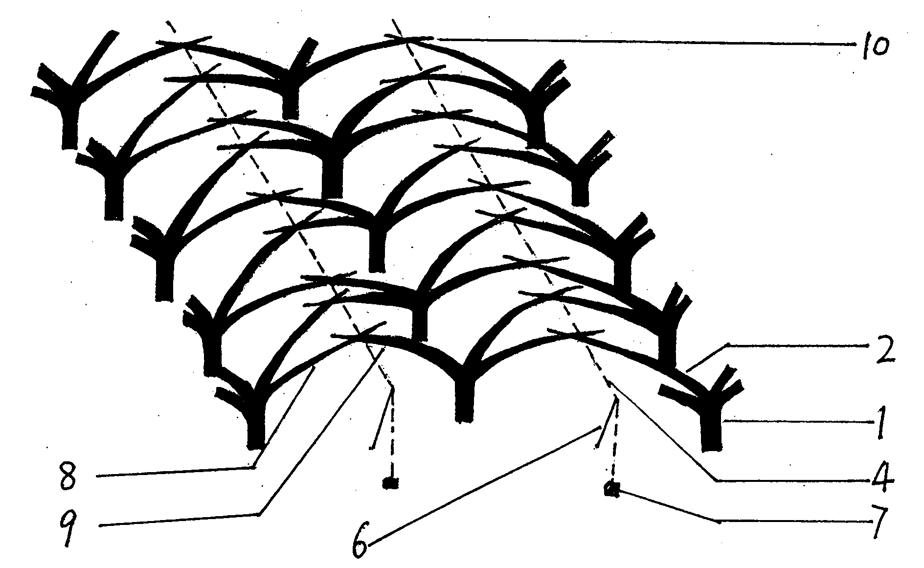 Shed erecting-free scaffold self-shaping technology for pears