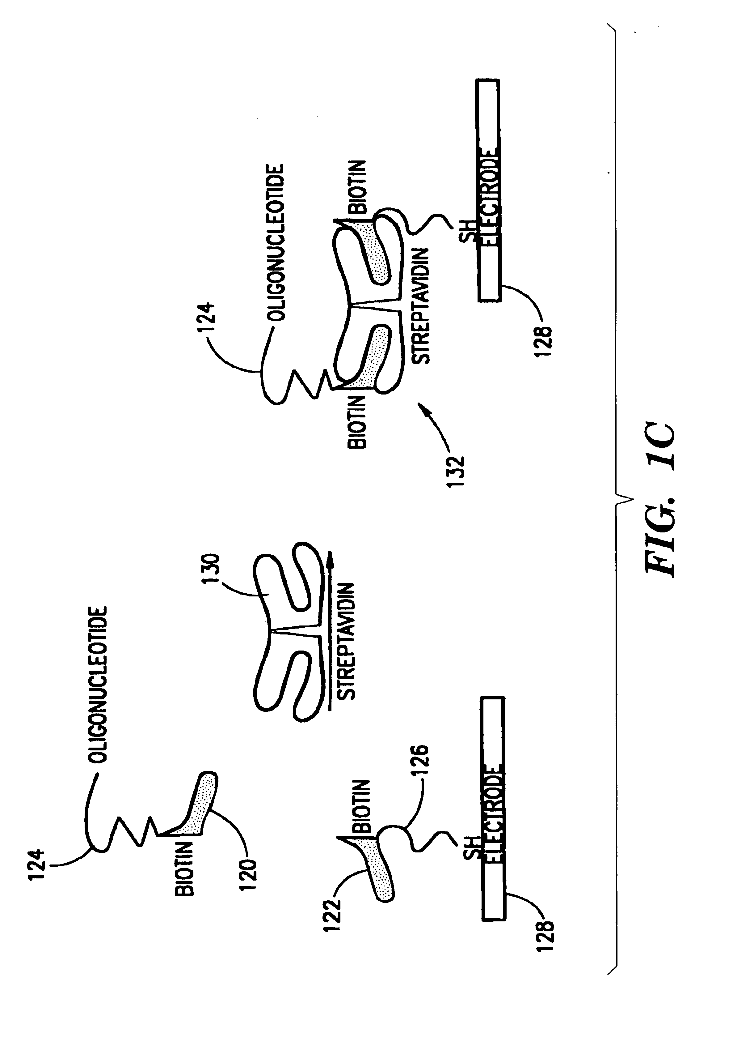 Microelectronic components and electronic networks comprising DNA