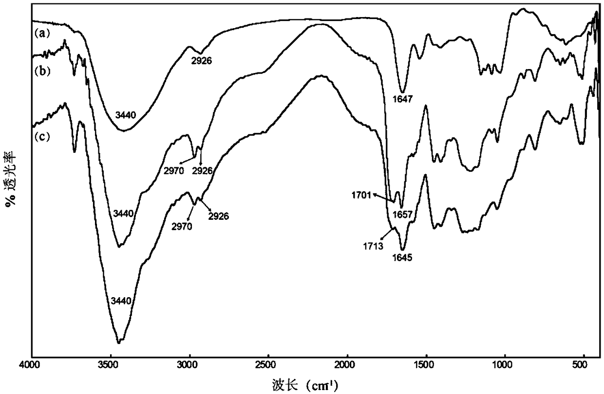 Soluble-insoluble UCST type PMAAc vector as well as immobilized enzyme and application thereof