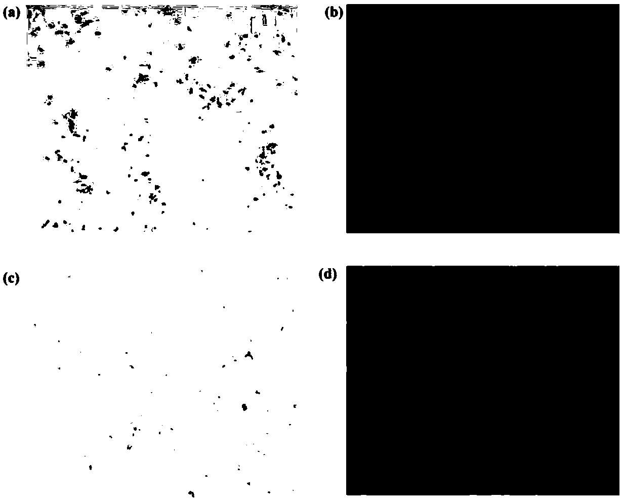 Soluble-insoluble UCST type PMAAc vector as well as immobilized enzyme and application thereof