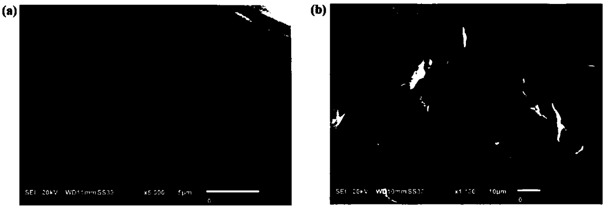 Soluble-insoluble UCST type PMAAc vector as well as immobilized enzyme and application thereof