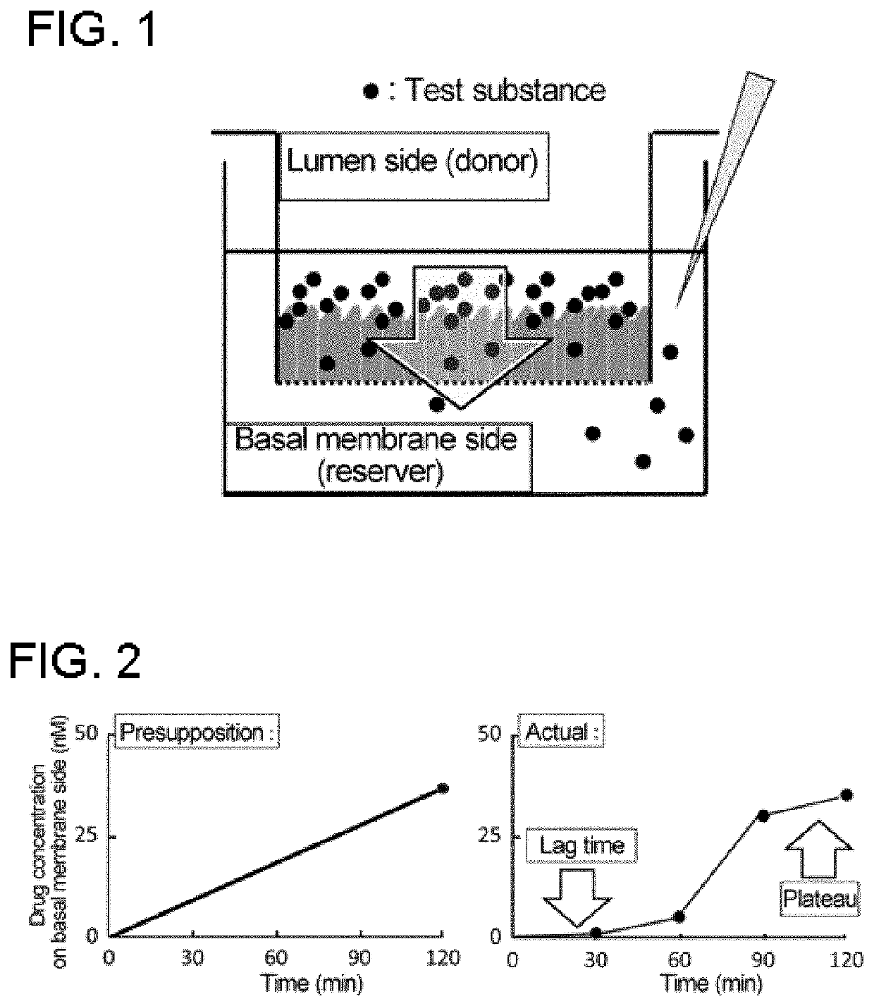 Cyclic peptide compound having high membrane permeability, and library containing same