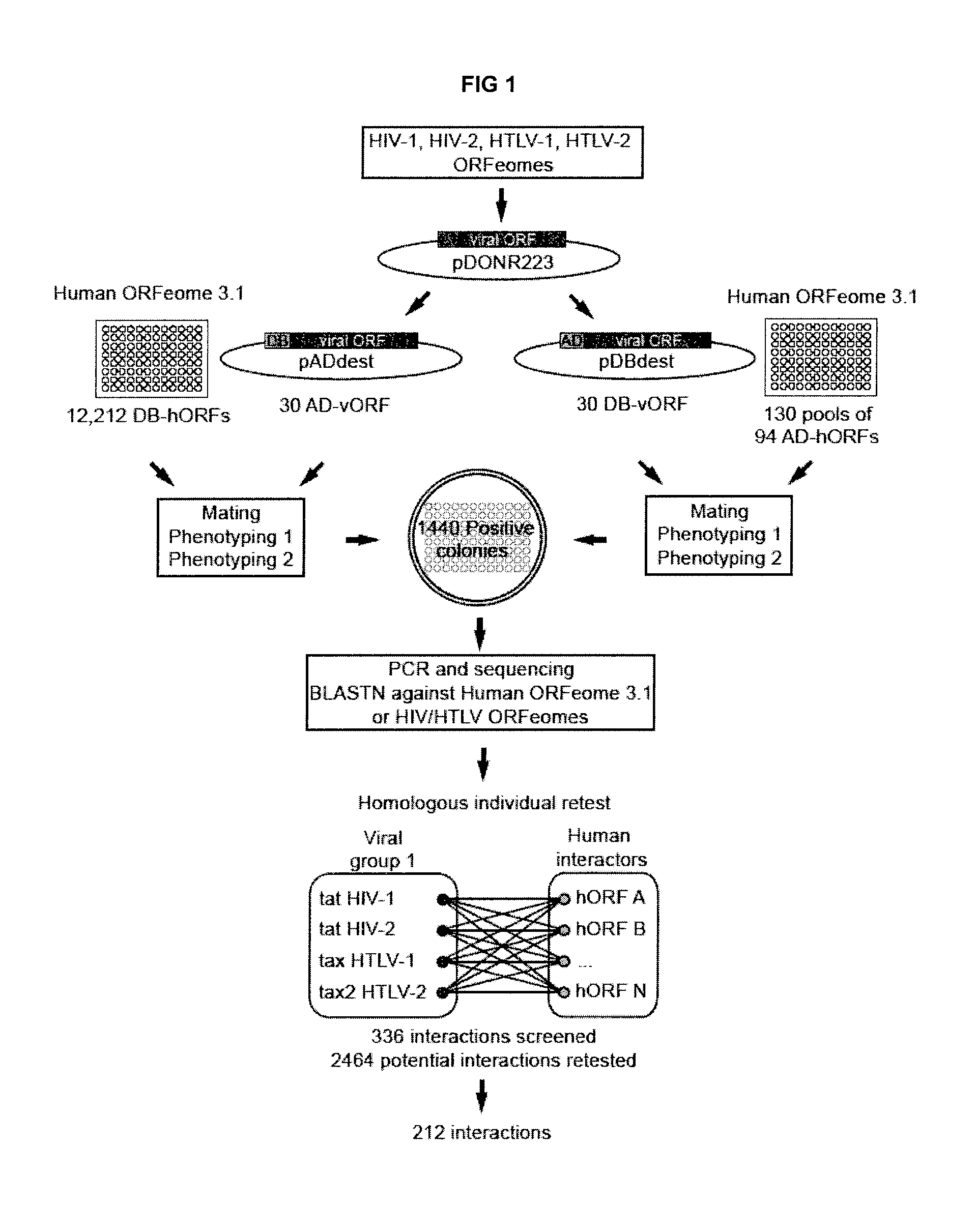 Targets for retrovirus associated diseases