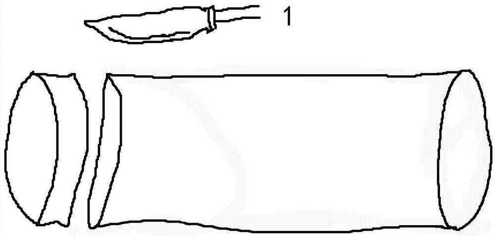 Method for culturing airway epithelial cells by simply, conveniently and rapidly inducing differentiation of cilia