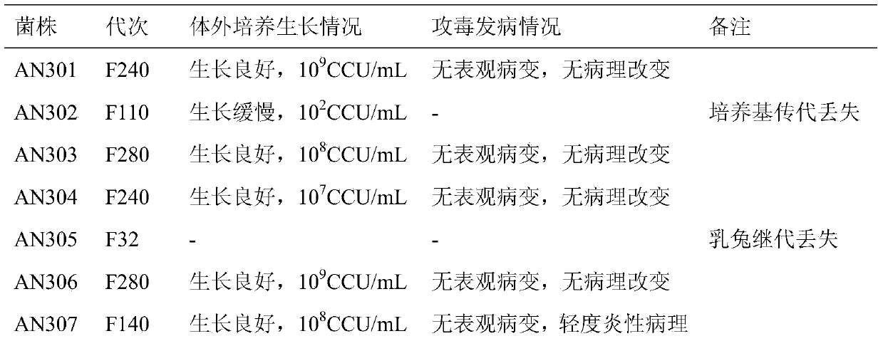 Pig mycoplasma pneumonia live attenuated vaccine and application thereof