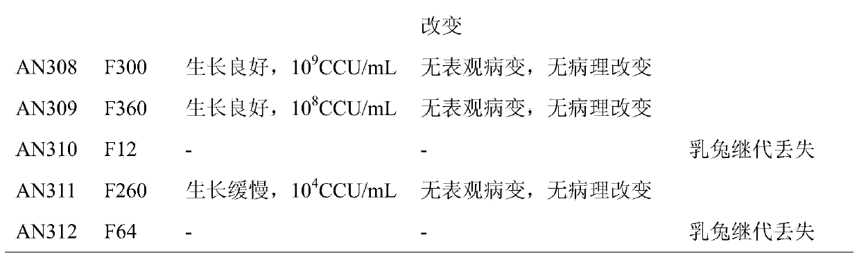 Pig mycoplasma pneumonia live attenuated vaccine and application thereof