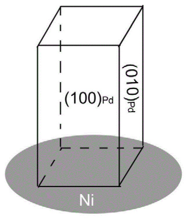 Fuel cell anode and in situ preparation method thereof