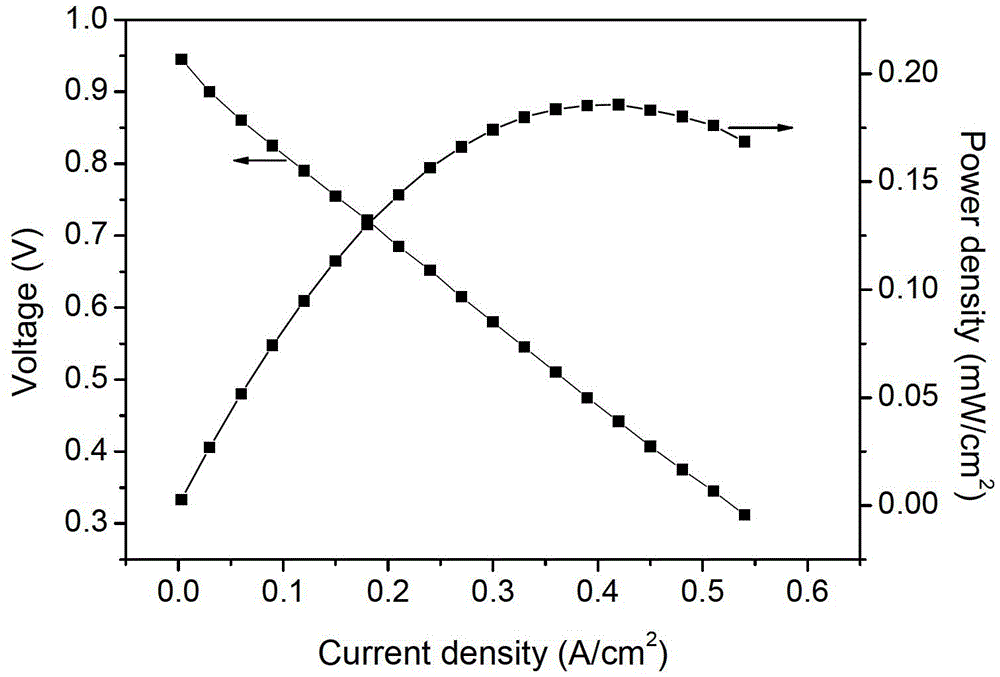 Fuel cell anode and in situ preparation method thereof