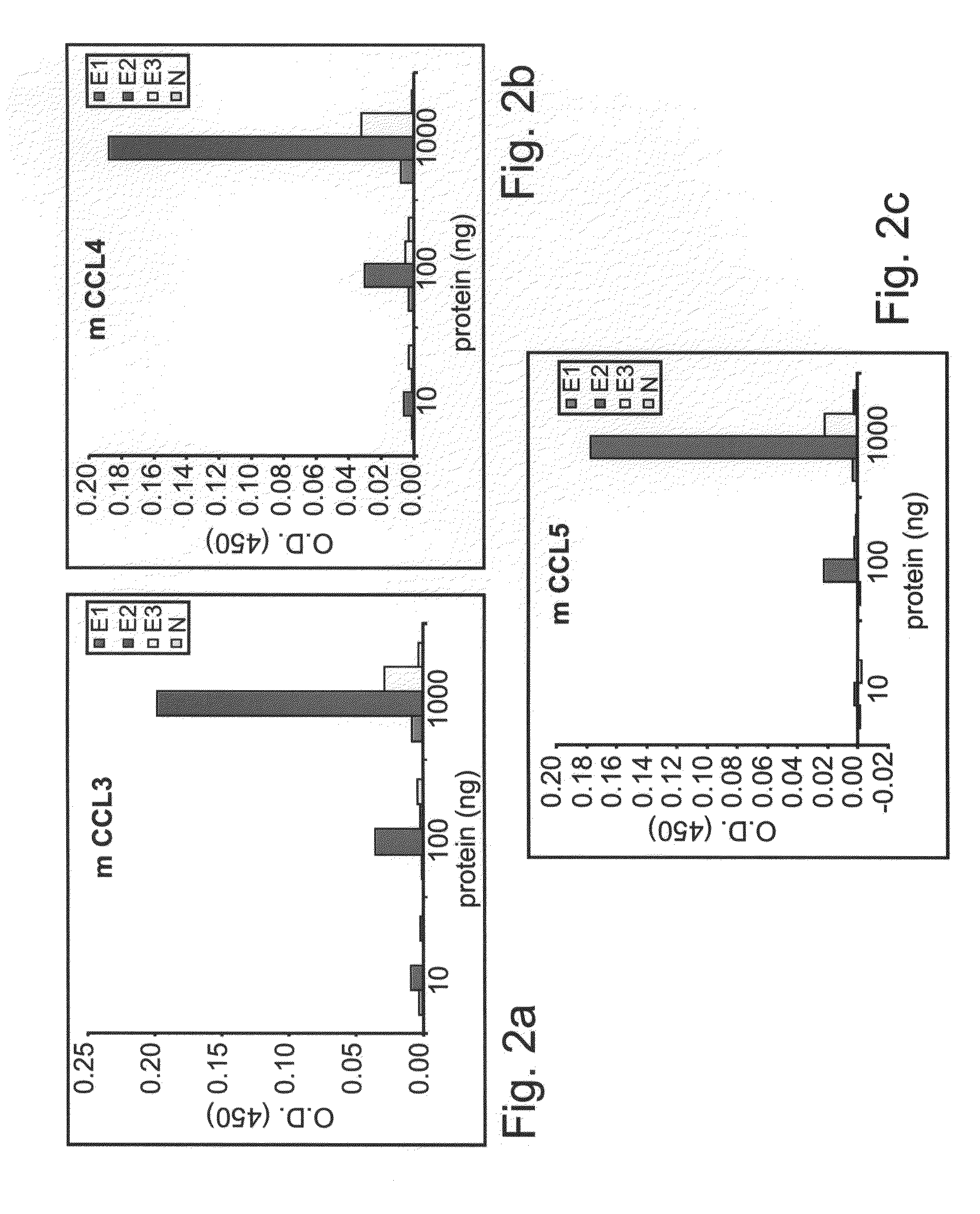 Molecules and Methods of Using Same for Treating CCR5/CCR5 Ligands Associated Diseases