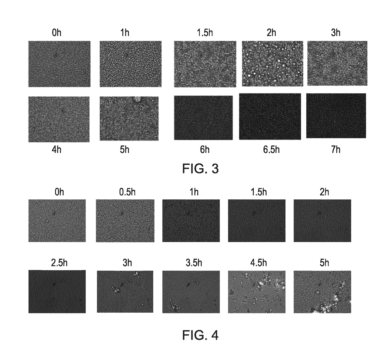 Compositions comprising cyclosporin