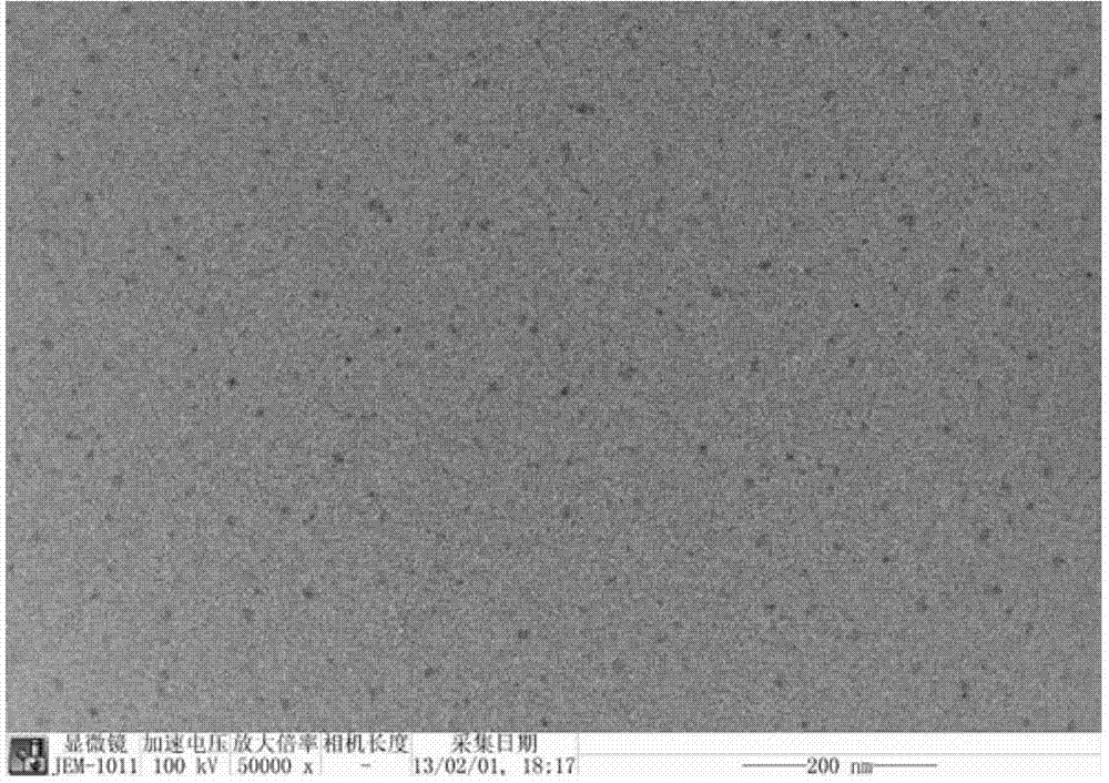 Janus nano material with double properties and preparation method of Janus nano material